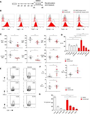 Ibrutinib directly reduces CD8+T cell exhaustion independent of BTK